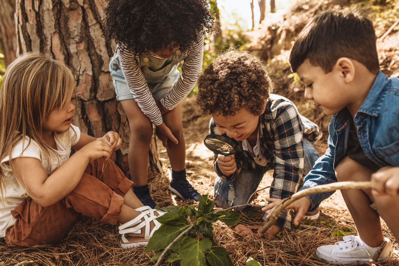 Kinder lernen durch erkunden und entdecken